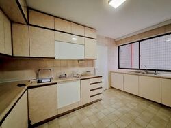 The Cairnhill (D9), Condominium #580753841